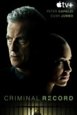Криминальное прошлое (2024)